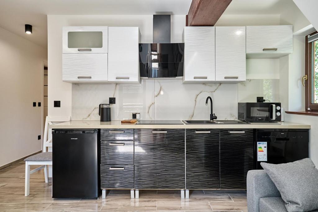 Apartamenty U Kamila 扎科帕内 外观 照片