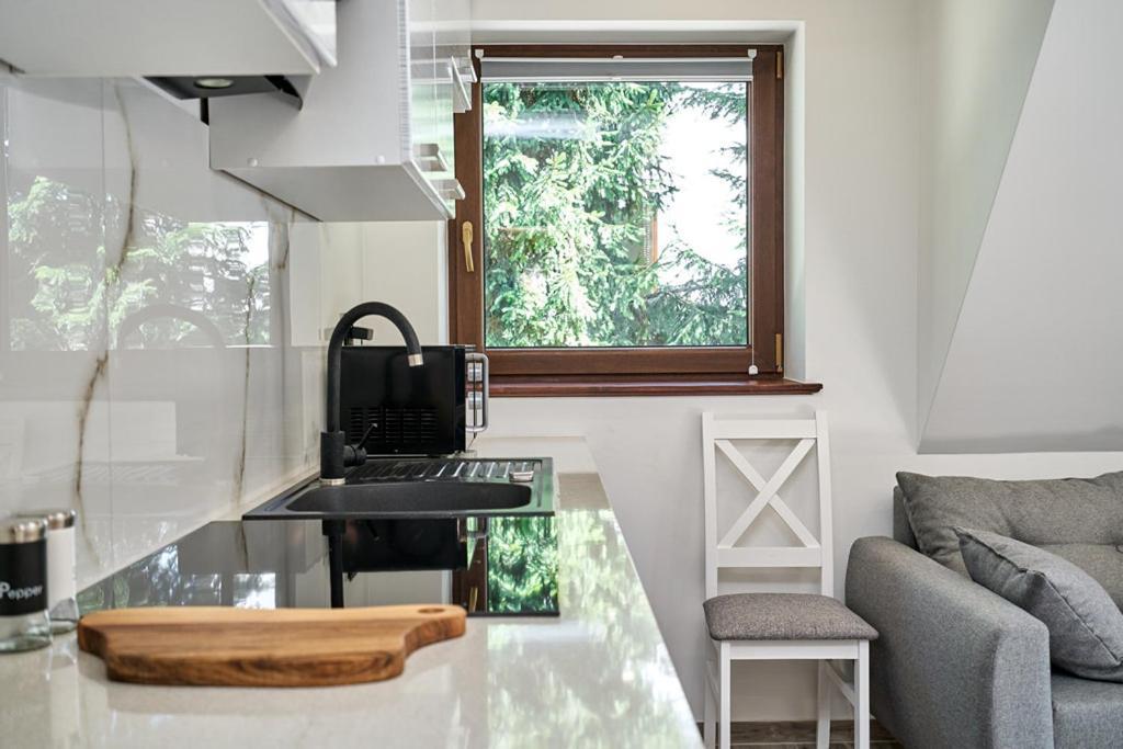 Apartamenty U Kamila 扎科帕内 外观 照片